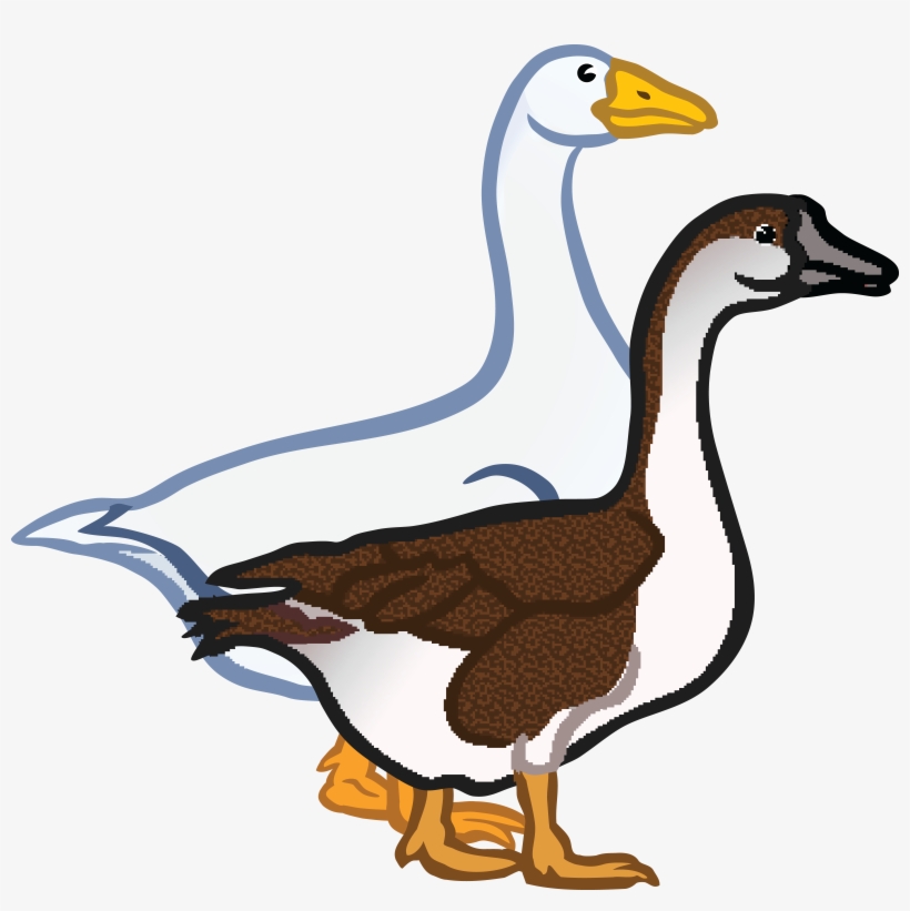 Clip Art Geese Transparent Png 4000x3810 Free Download On Nicepng