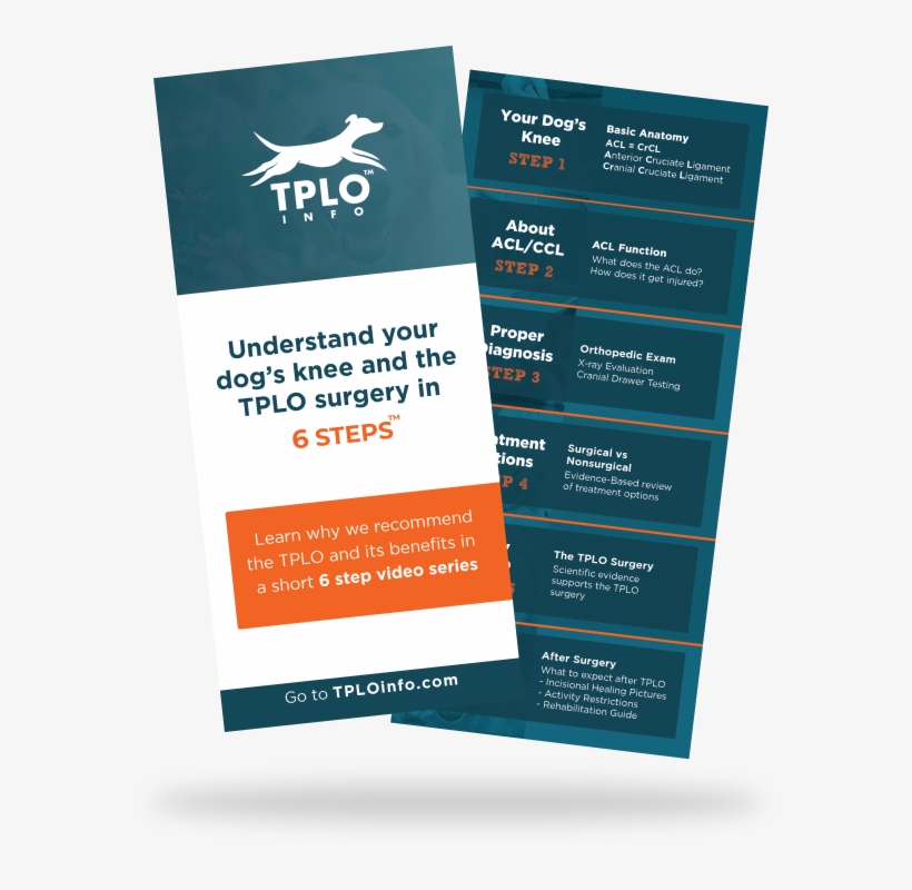 6 Steps Brochure - Brochure, transparent png download