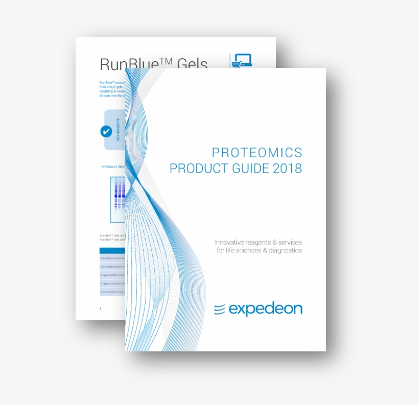 Expedeon Proteomics Brochure - Diagram, transparent png download