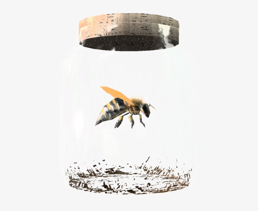 Elder Scrolls Fandom Powered By Wikia - Bee In A Jar, transparent png download