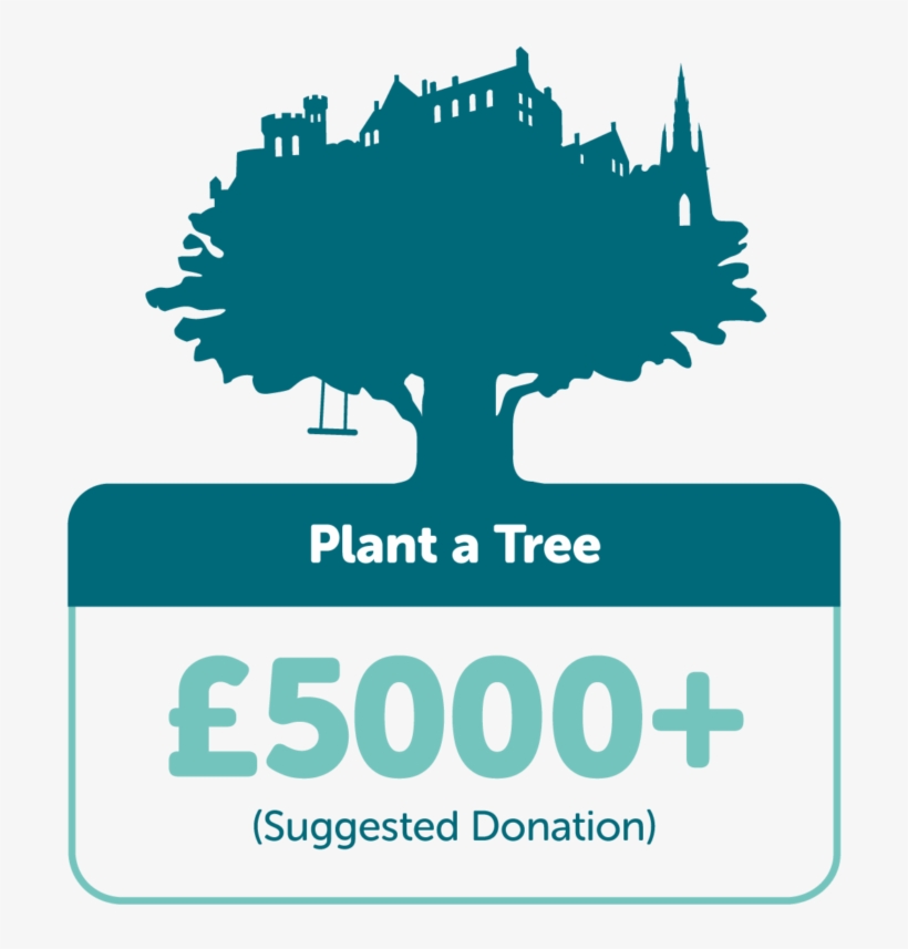 Donate Towards A New Tree Standard To Be Planted In - Tree Time ...