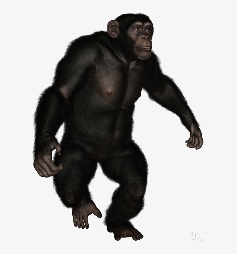 Posted By Rj At, transparent png download