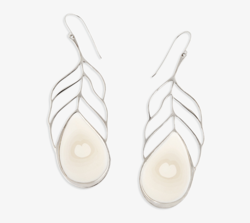 Silver Long Peacock Feather Earrings - Earrings, transparent png download
