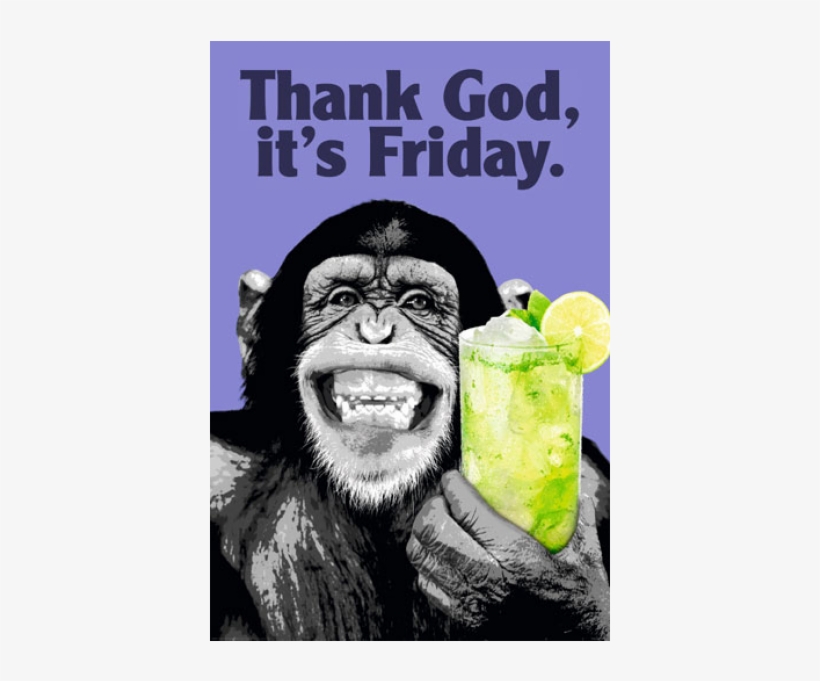 The Chimp Friday, transparent png download