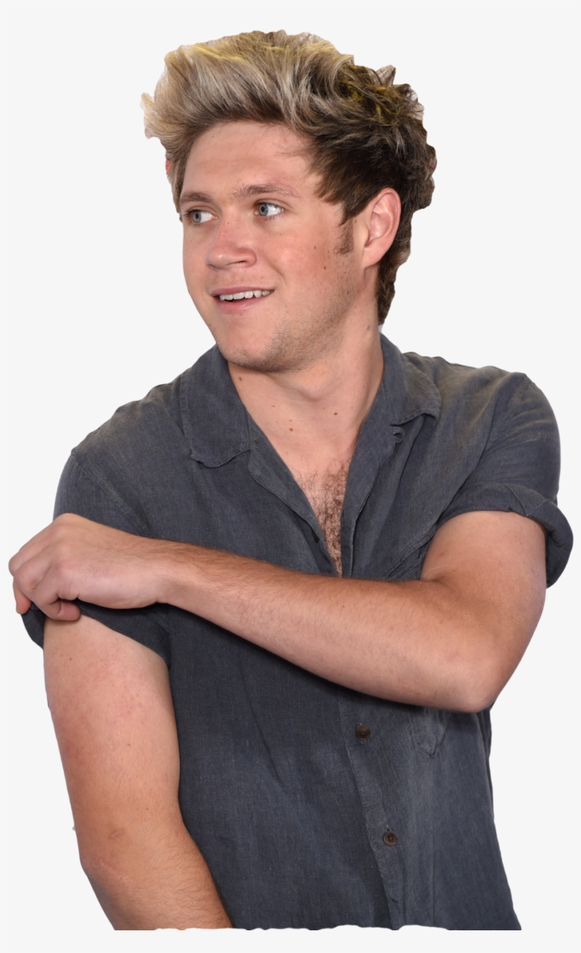 You're A Deep - Niall Horan Transparent PNG - 1024x1535 - Free Download on  NicePNG, image size:820x1346
