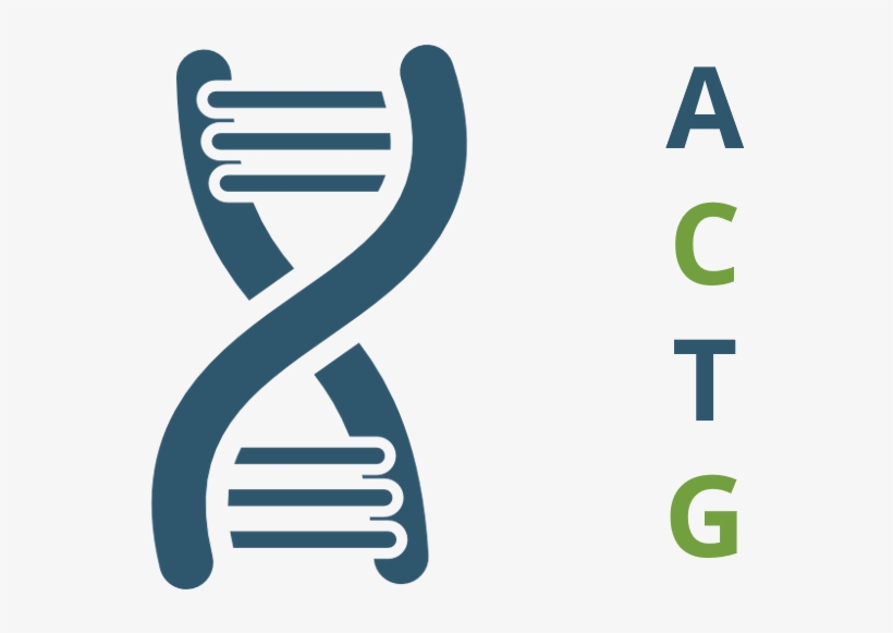 Fortunately, Your Dna Can Tell Us A Lot About You And - Graphic Design, transparent png download