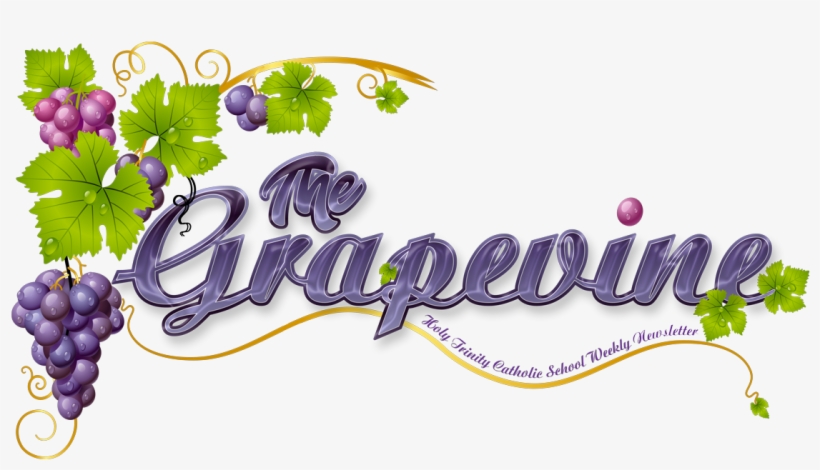 14 Nov,2018 - Grape Vine Clipart, transparent png download