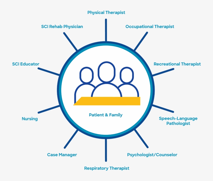 Spinal Cord Injury Physicians - Diagram, transparent png download
