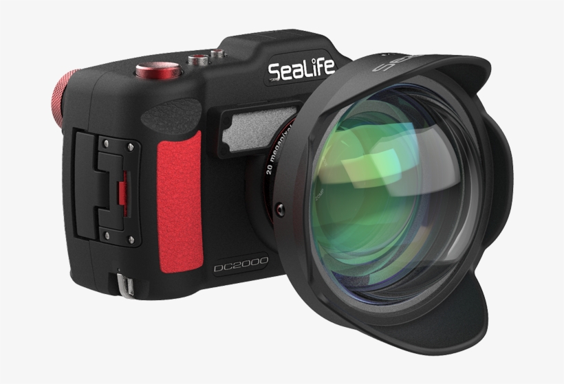 Sealife - Wide-angle Lens, transparent png download