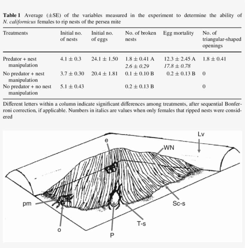 Svg Library Download Broken Drawing Tear - Drawing, transparent png download