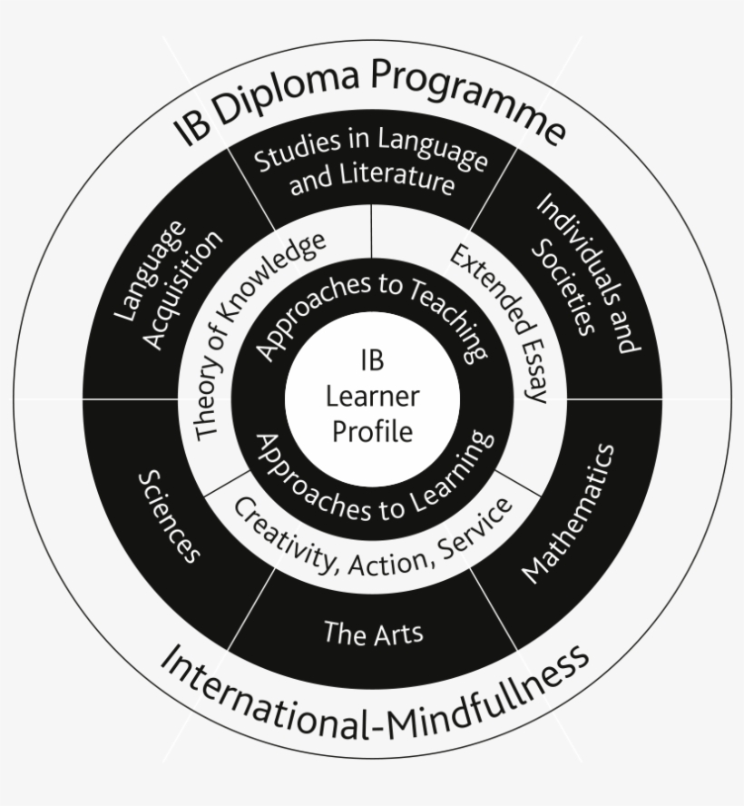 Due To The International Student Body And The Focus - Circle, transparent png download