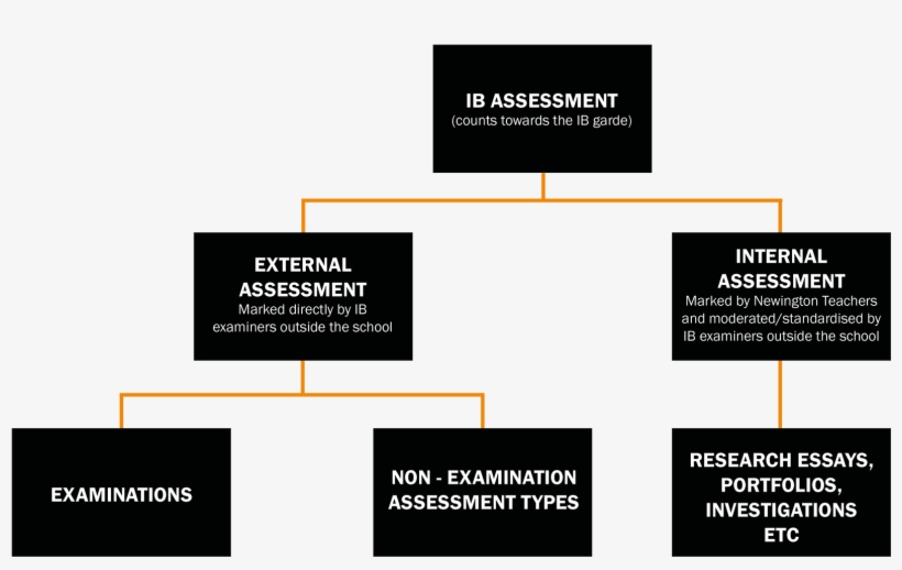 Ib Assessment - Graphics, transparent png download