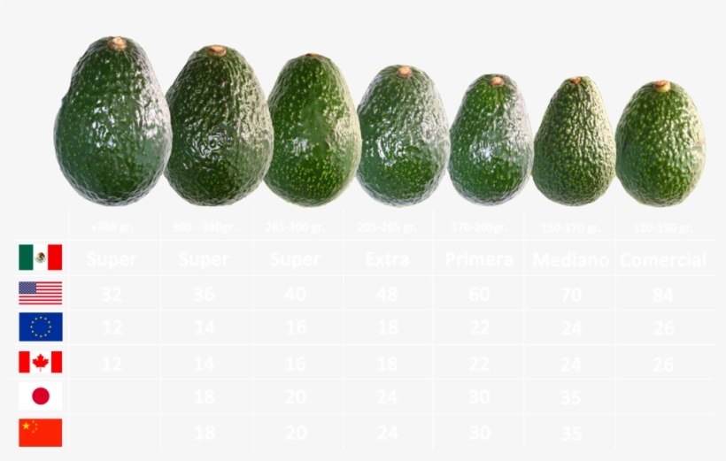 Calibres - Avocado, transparent png download