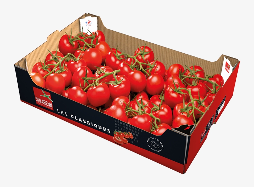 Prev - Plum Tomato, transparent png download