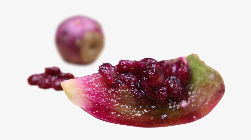 Frutti Di Bosco, transparent png download