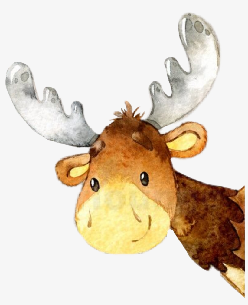 Moose Sticker - Moose, transparent png download