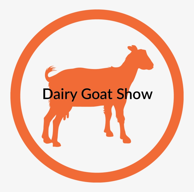 Dairygoat - Illustration, transparent png download