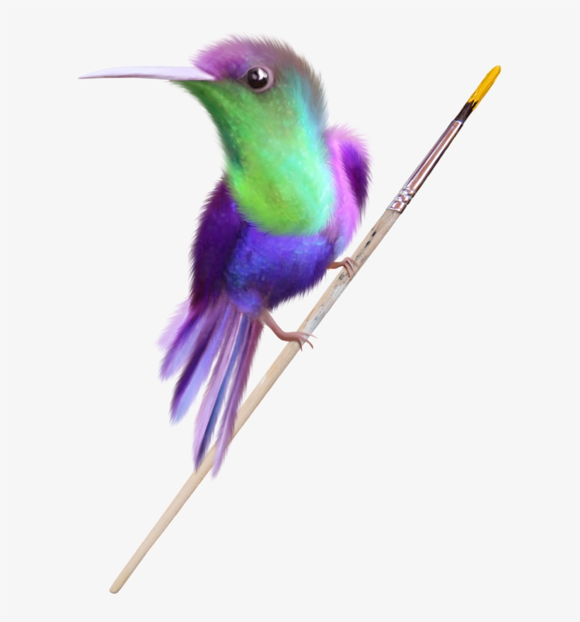 Vous Trouverez De Belles Images Pour Vos Blogs - Hummingbird, transparent png download