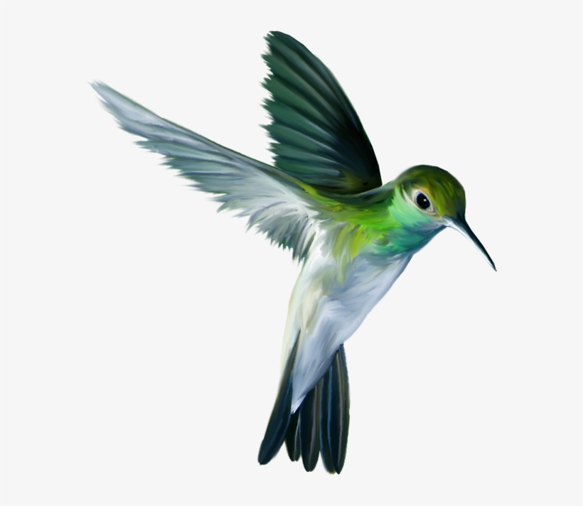 Clip Royalty Free Photo Zps Ef Png Tattoo Ideas Pinterest - Animals And Birds Png, transparent png download