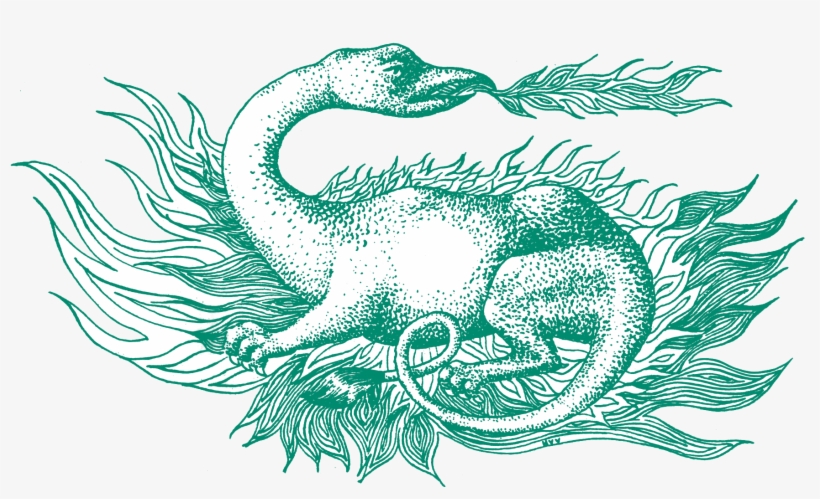 Insead Salamander, transparent png download