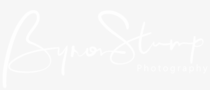 Twitter White Icon Png, transparent png download