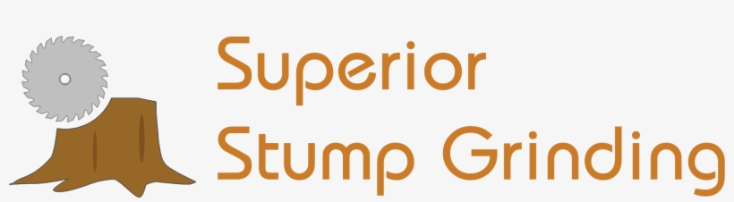 764-0911 - Graphic Design, transparent png download