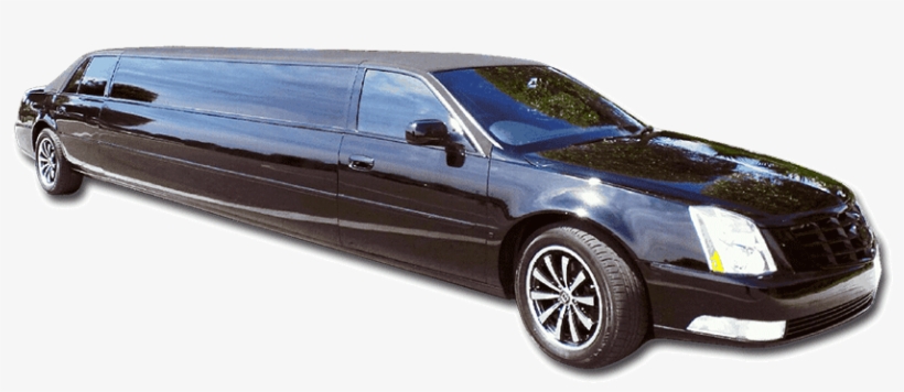 Sarasota Limos Limousine Service Sarasota Fl - Limousine, transparent png download
