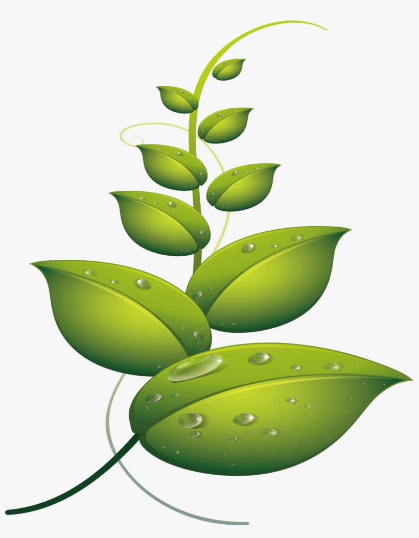 Euclidean Vector Leaves - Illustration, transparent png download