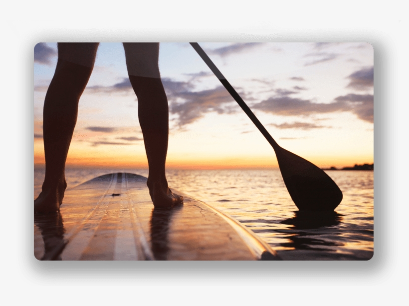Guest Services - Paddle Board Nature, transparent png download