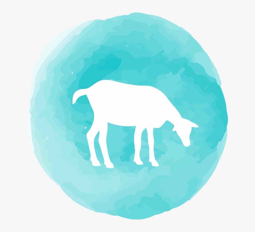 Book A Class - Illustration, transparent png download