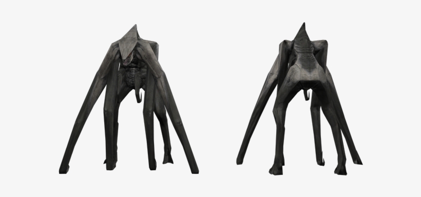Download Zip Archive - Spider, transparent png download