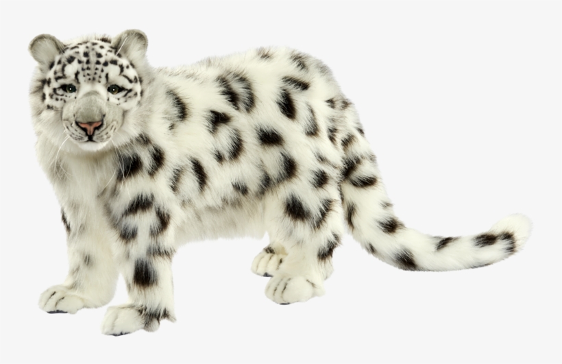 Hansa Creation Inc - Hansa Snow Leopard 4272, transparent png download