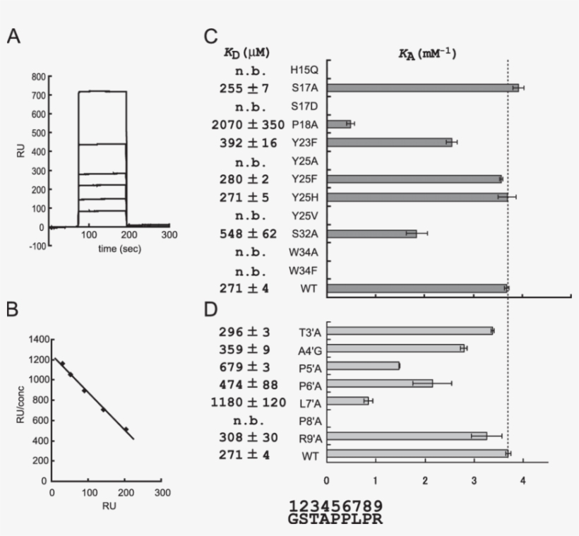 A, Fbp11 Ww1 As The Analyte Was Analyzed By Spr Against - Diagram, transparent png download