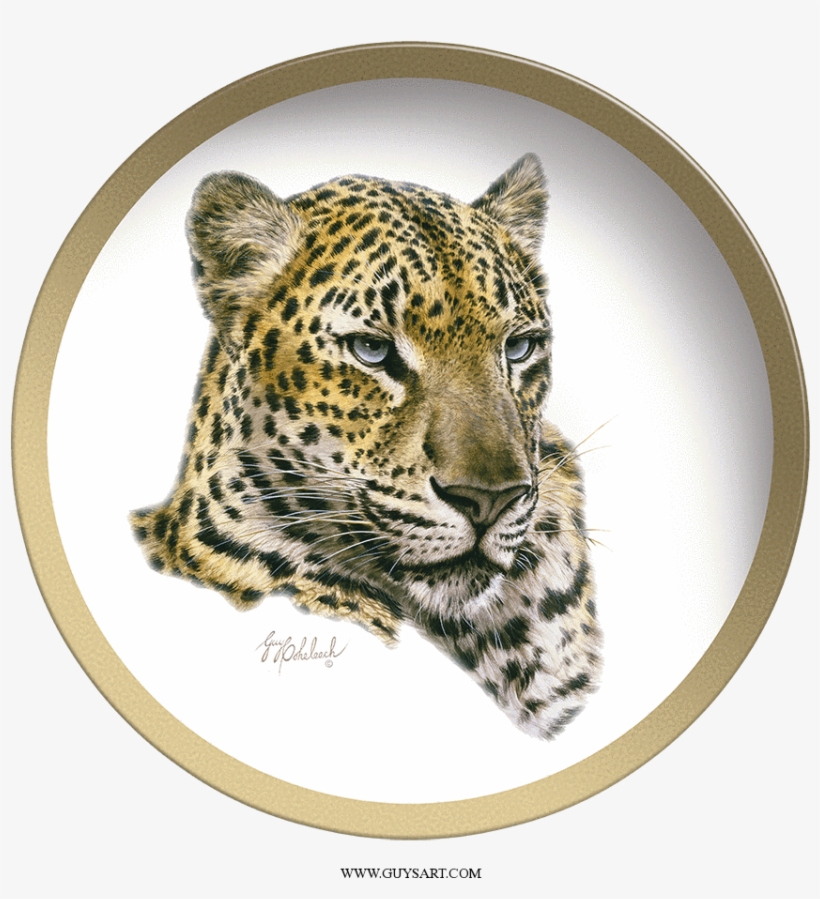 Chinese Leopard Head Plate - Drawing, transparent png download