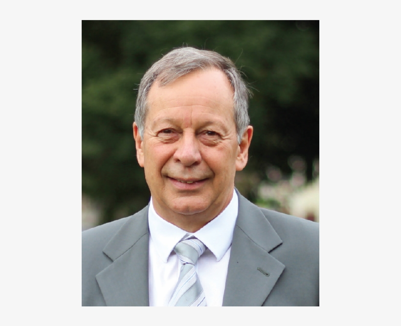 “my Team Is Creating A New Risk Scoring System For - Elder, transparent png download