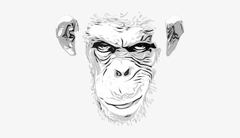 Click And Drag To Re-position The Image, If Desired - Illustration, transparent png download