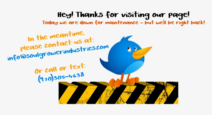 Home - Cartoon, transparent png download