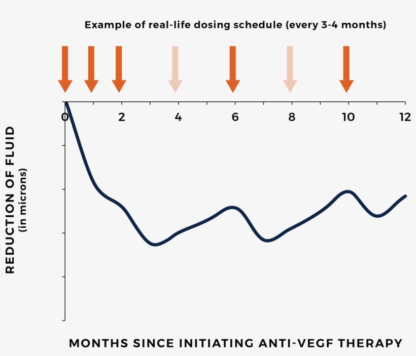 Each Time The Patient Or The Physician Or The Health - Diagram, transparent png download