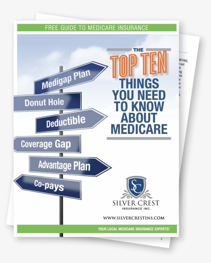 Pdf-thumbnail - Paul Mitchell Curls, transparent png download