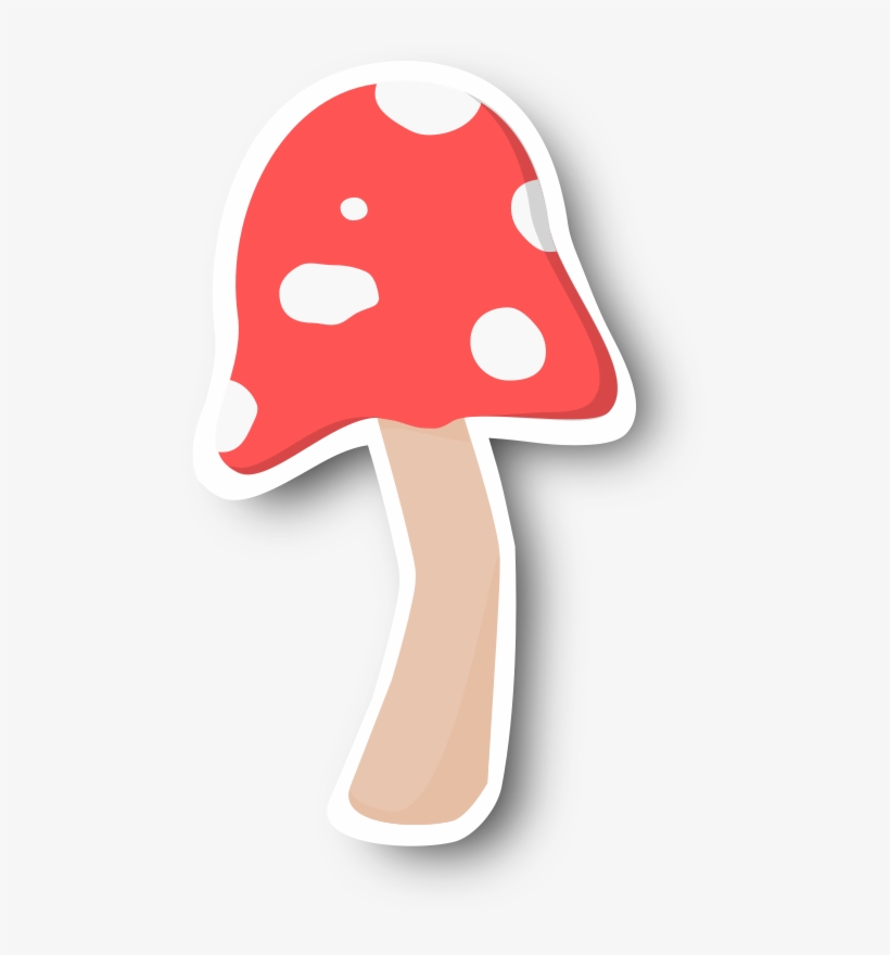 This Png File Is About Toadstool , Cut Out , Shroom - Shiitake, transparent png download