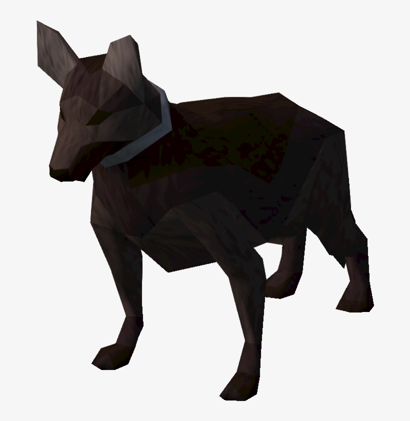 Dog, transparent png download