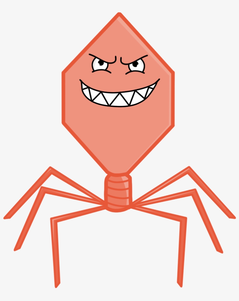 Amoeba Sisters - Amoeba Sisters Viruses Gif, transparent png download