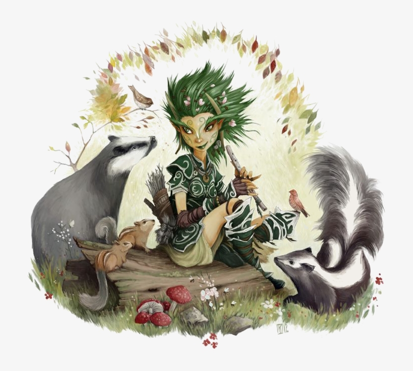 Subclass Alterations - Druid Companions, transparent png download