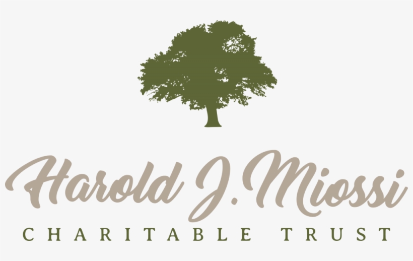 Miossi Trust Gives $20,000 - Tree, transparent png download