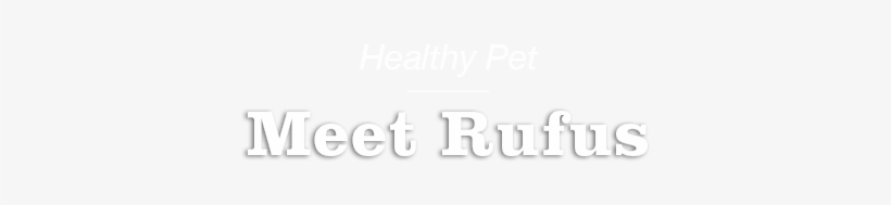 We Create Reactions - One Word, transparent png download