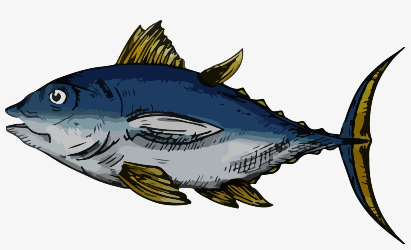 Bass, transparent png download