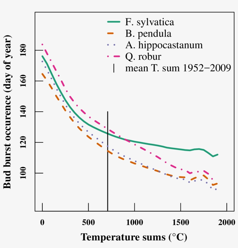 Simulated Budburst - Diagram, transparent png download