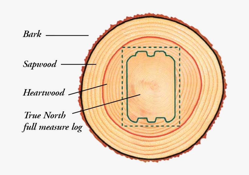 True North's Log Homes Are Built With The Finest Wood - Circle, transparent png download