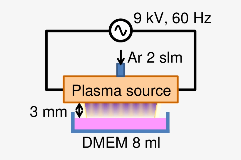 Schematic Illustration Of The Experimental Setup For - Xt Commerce, transparent png download