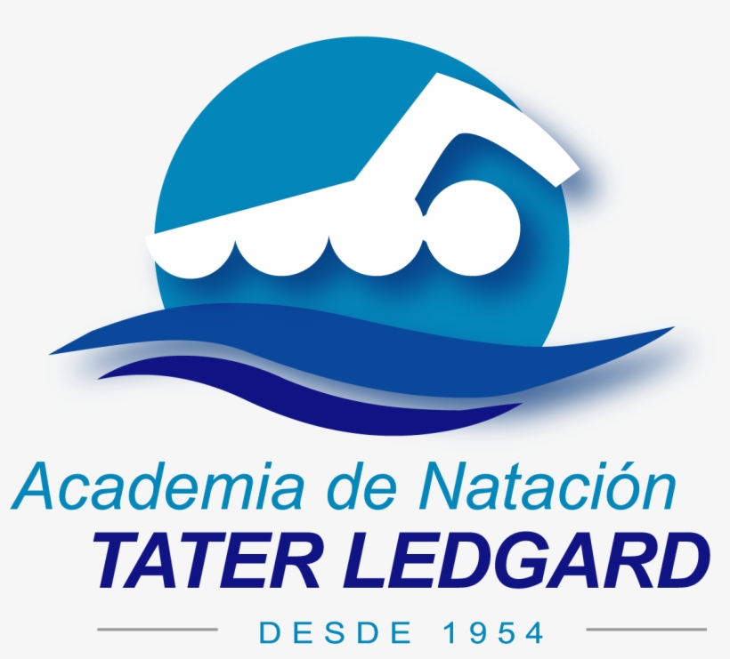 Preguntas Frecuentas Natación Adultos, Preguntas Y - Academia De Natación Tater Ledgard, transparent png download